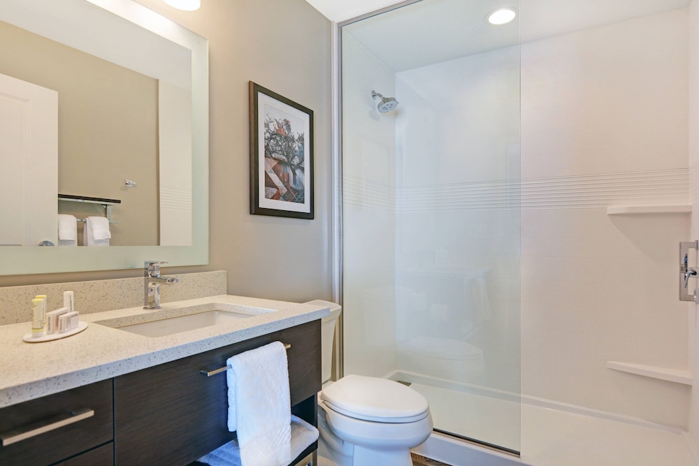 TownePlace Suites by Marriott Jackson Airport/Flowood 22/61