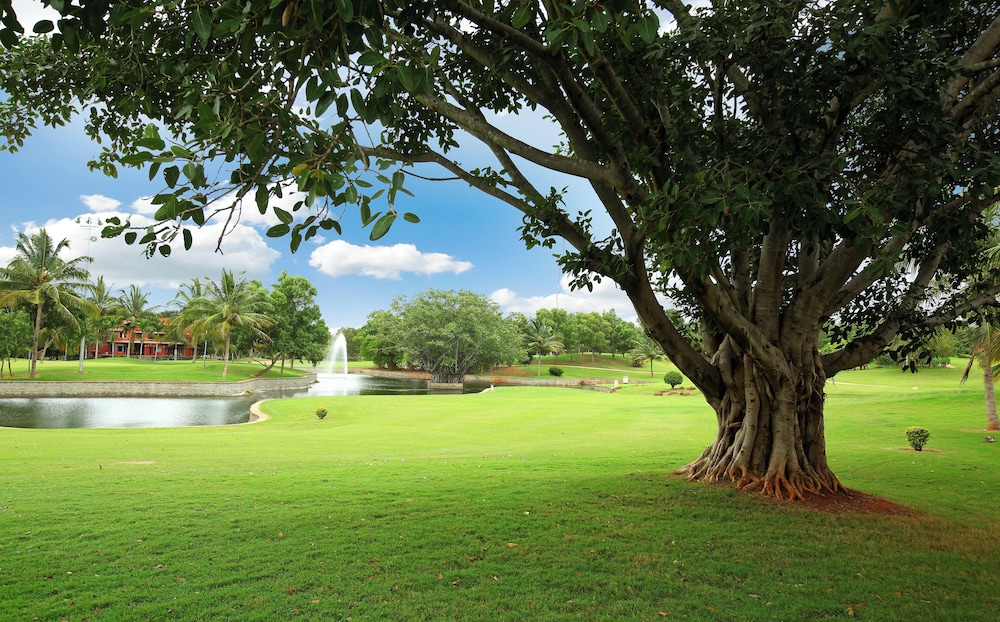 Eagleton - The Golf Resort 50/55