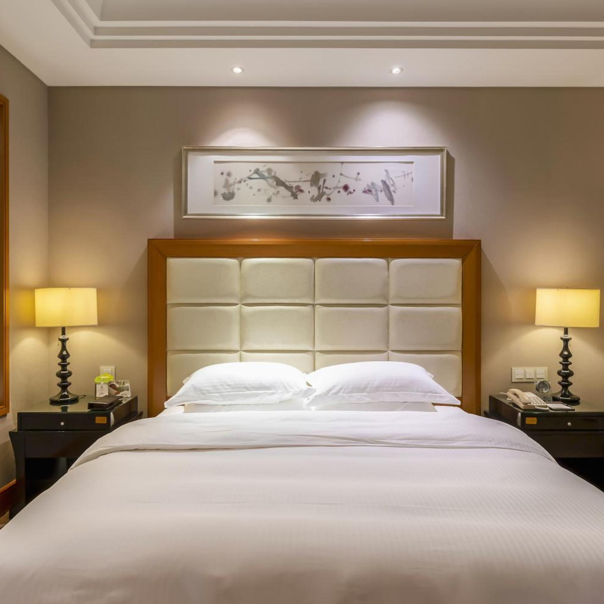 Wyndham Xinyang Downtown 18/59