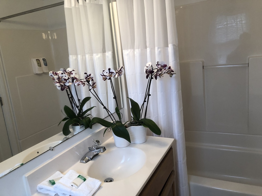 Hyannis Inn 46/50