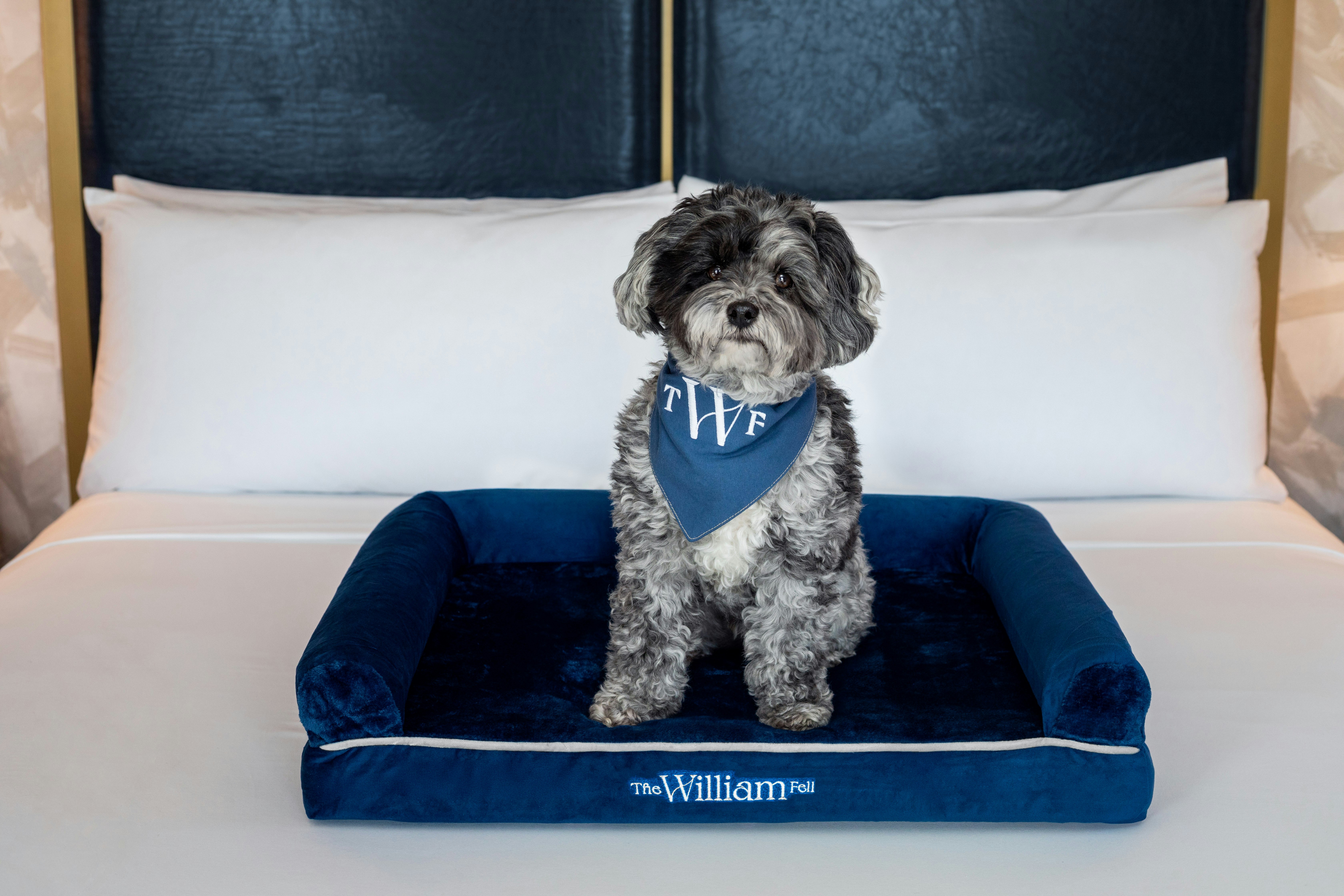 The William Fell Baltimore, Tapestry Collection by Hilton 6/52