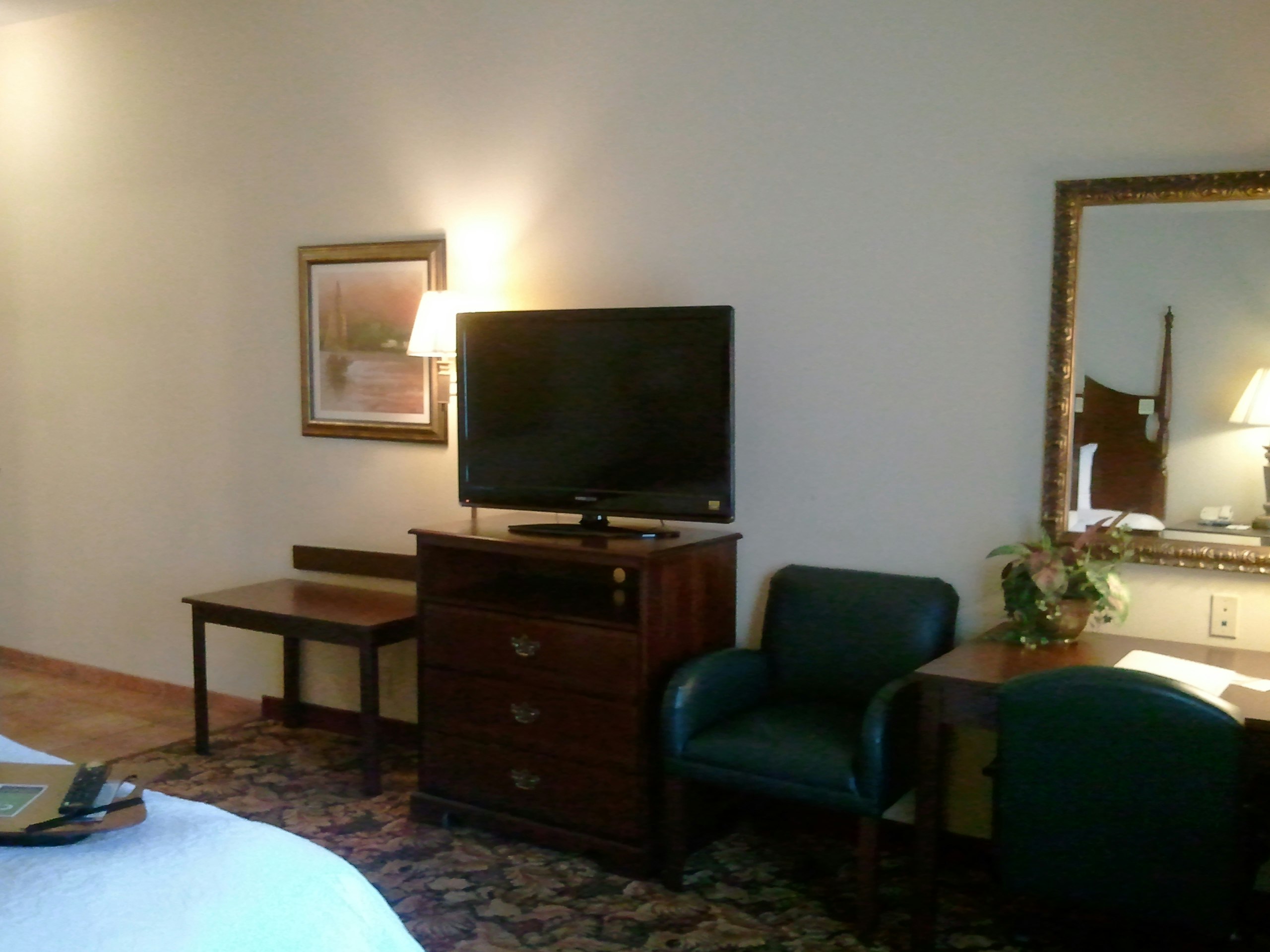 Hampton Inn & Suites Del Rio 28/35