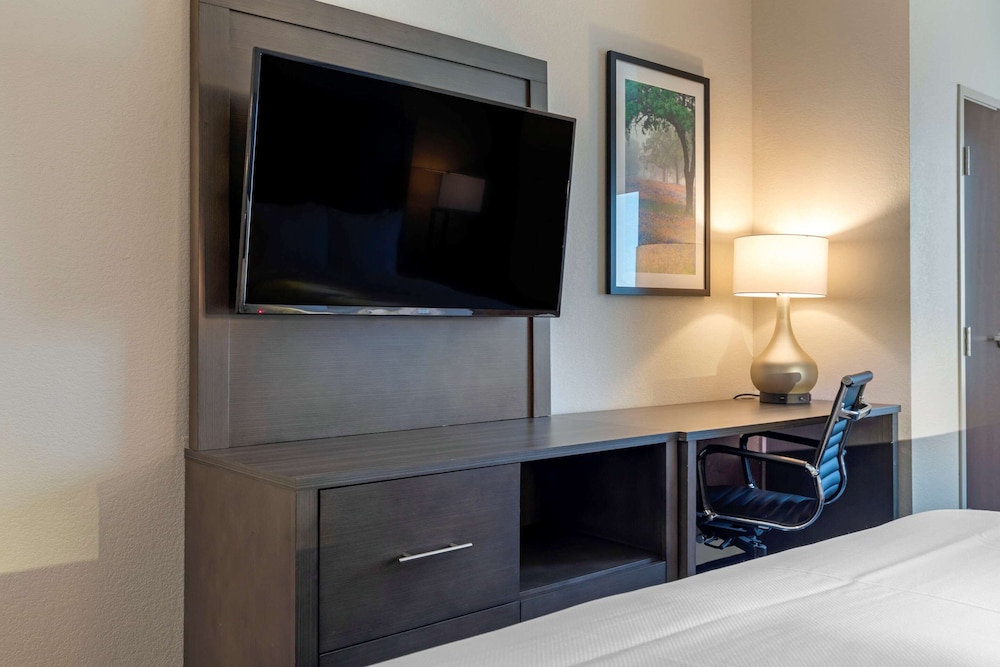 Comfort Inn & Suites Balch Springs - SE Dallas 13/30