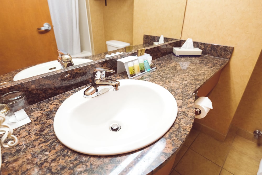 Rosslyn Inn & Suites, SureStay Collection by Best Western 47/48