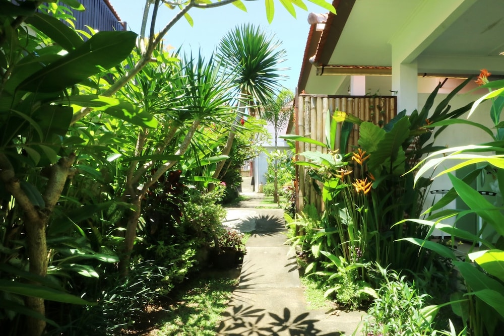 The Wina Guesthouse 2 48/59
