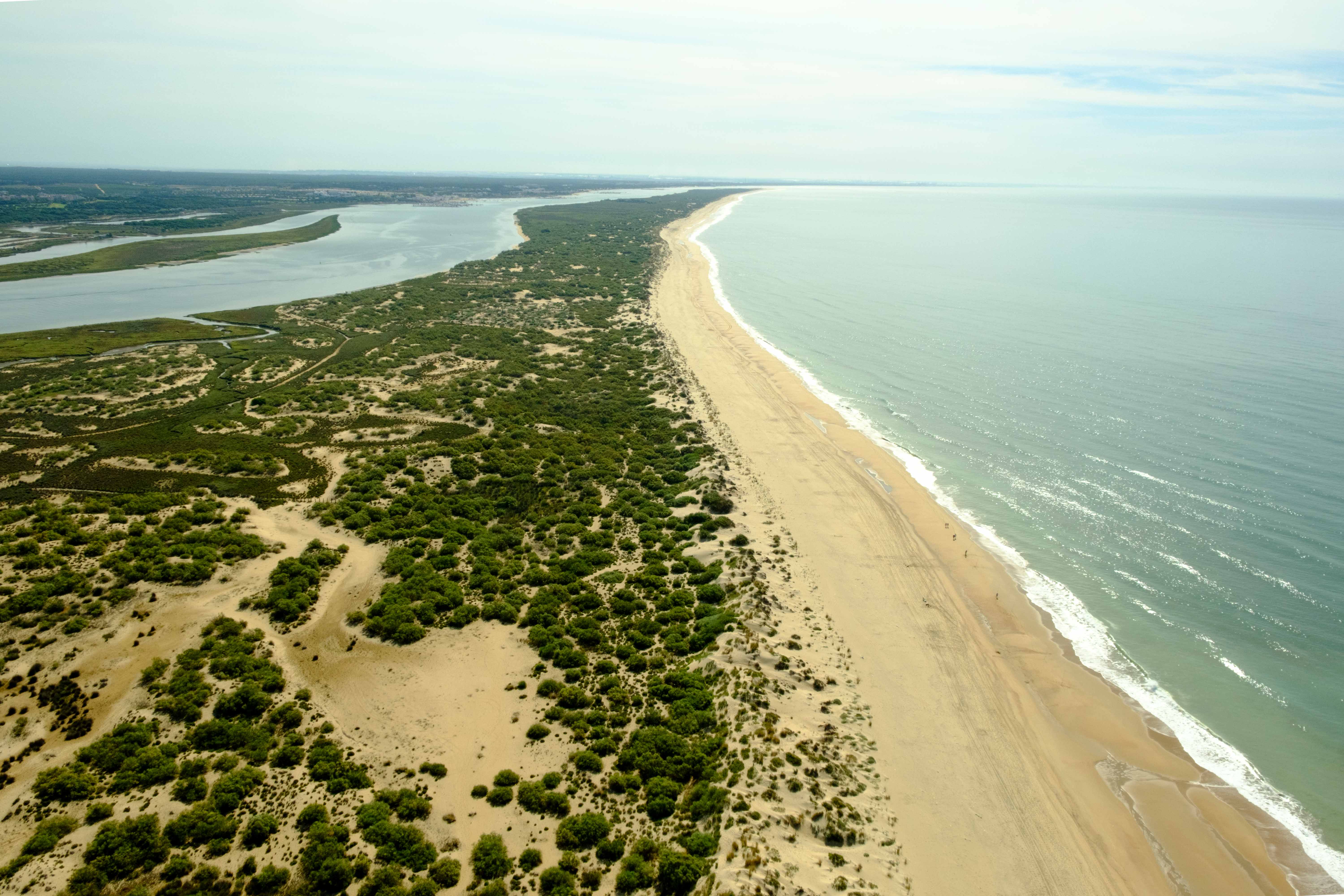 Estival Isla Cristina 44/50