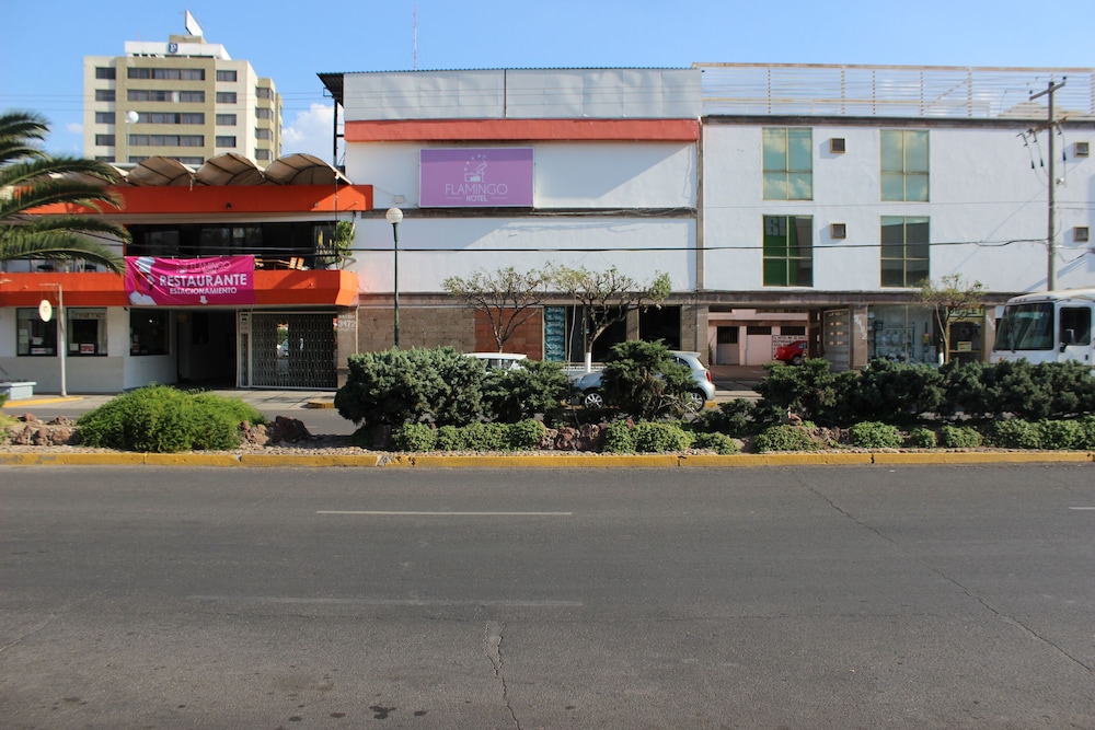 Hotel Flamingo 1/45