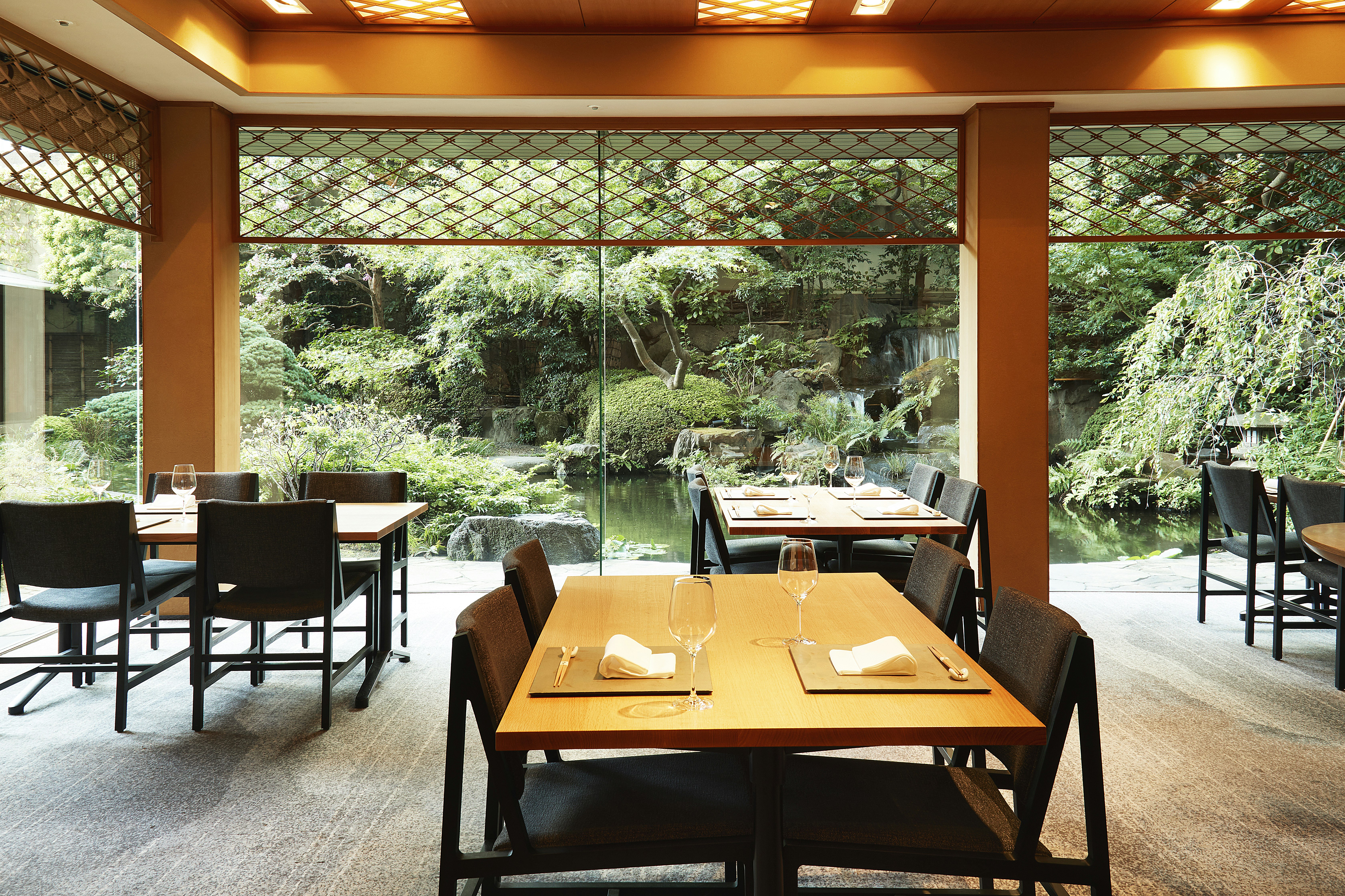 Ana Intercontinental Tokyo 59/78