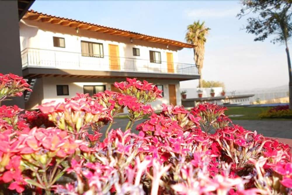 La Riberena 39/50
