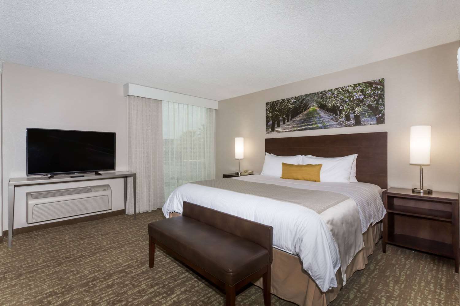 Wyndham Garden Fresno Yosemite Airport 15/45