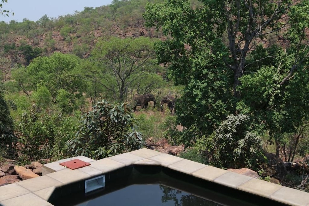 Inzalo Safari Lodge 13/45
