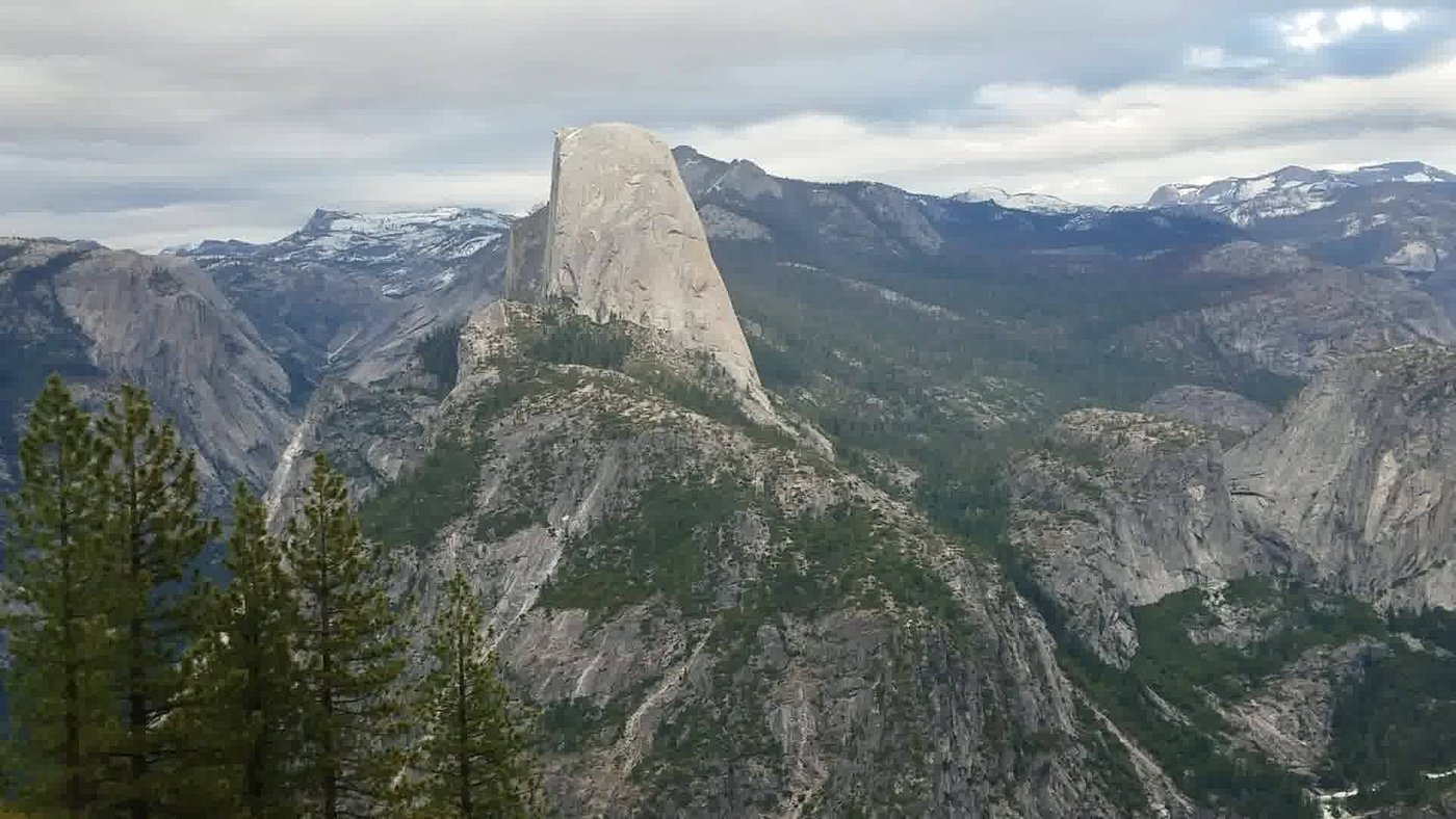 THE REDWOODS IN YOSEMITE 20/21