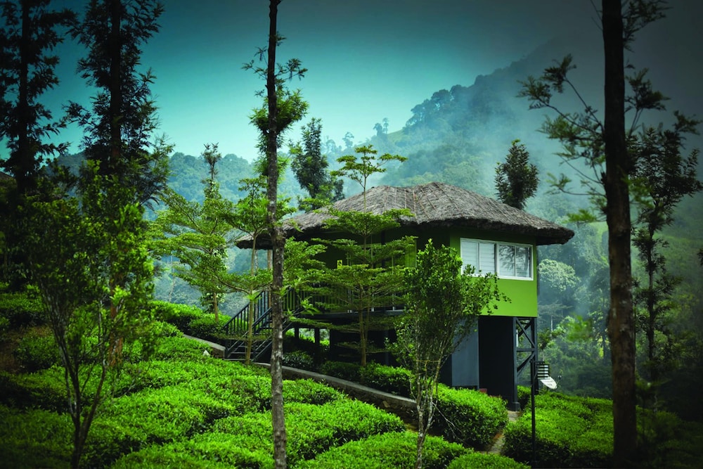 Wild Planet Jungle Resort 44/50