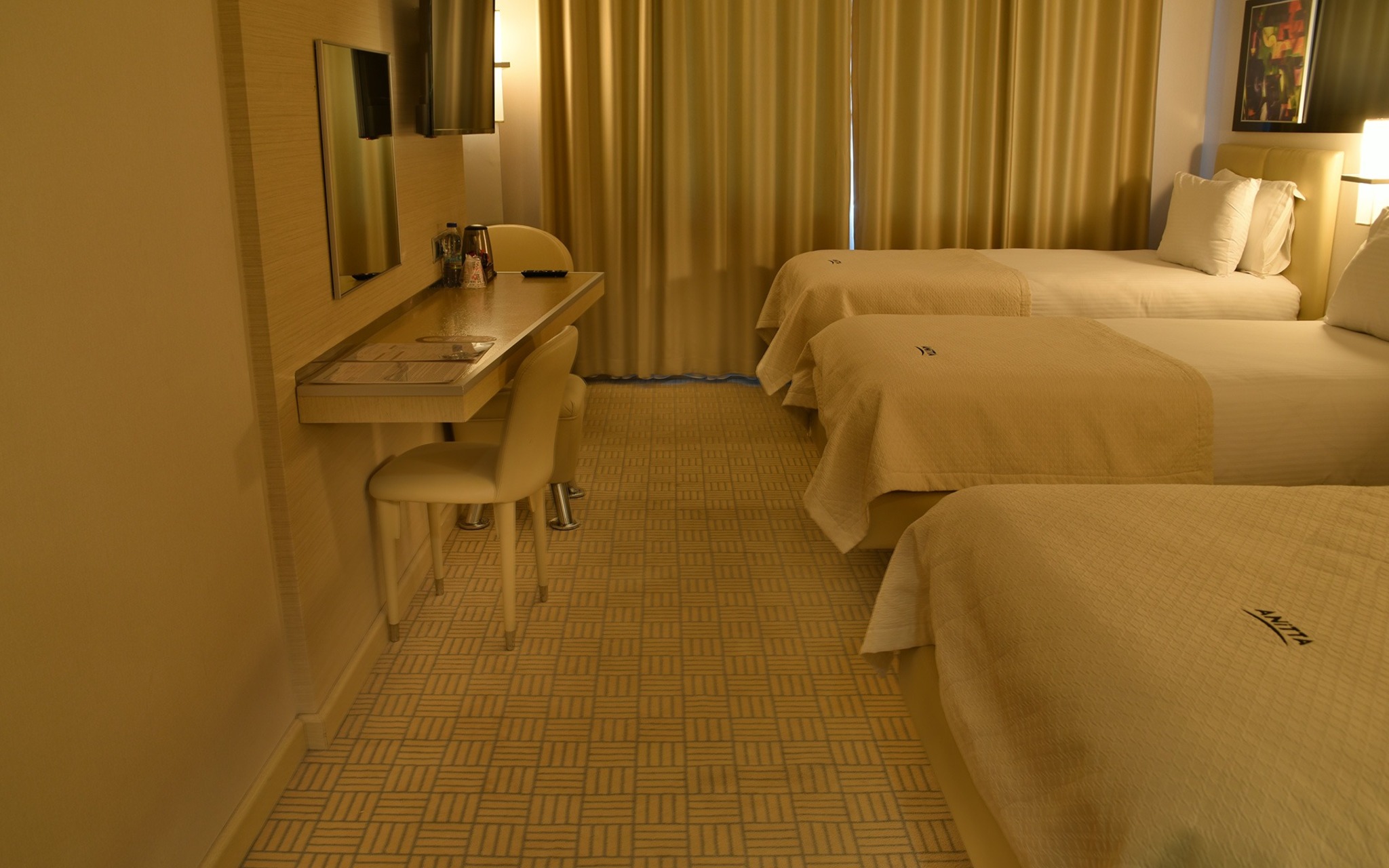 Anitta Hotel 33/33