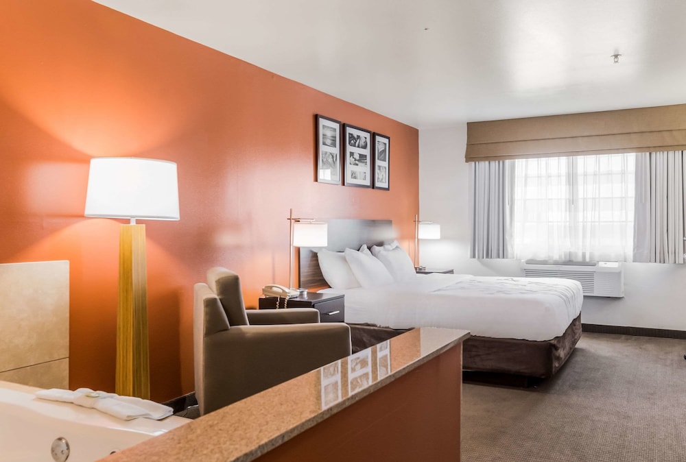 Sleep Inn & Suites North Liberty - Liberty City 17/43