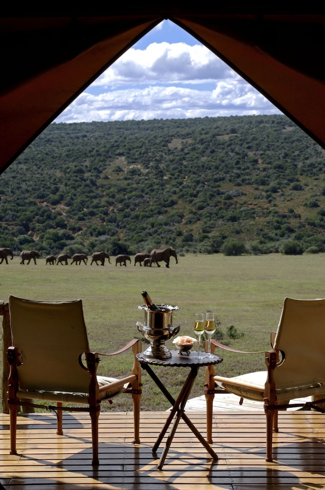 Gorah Elephant Camp 42/50