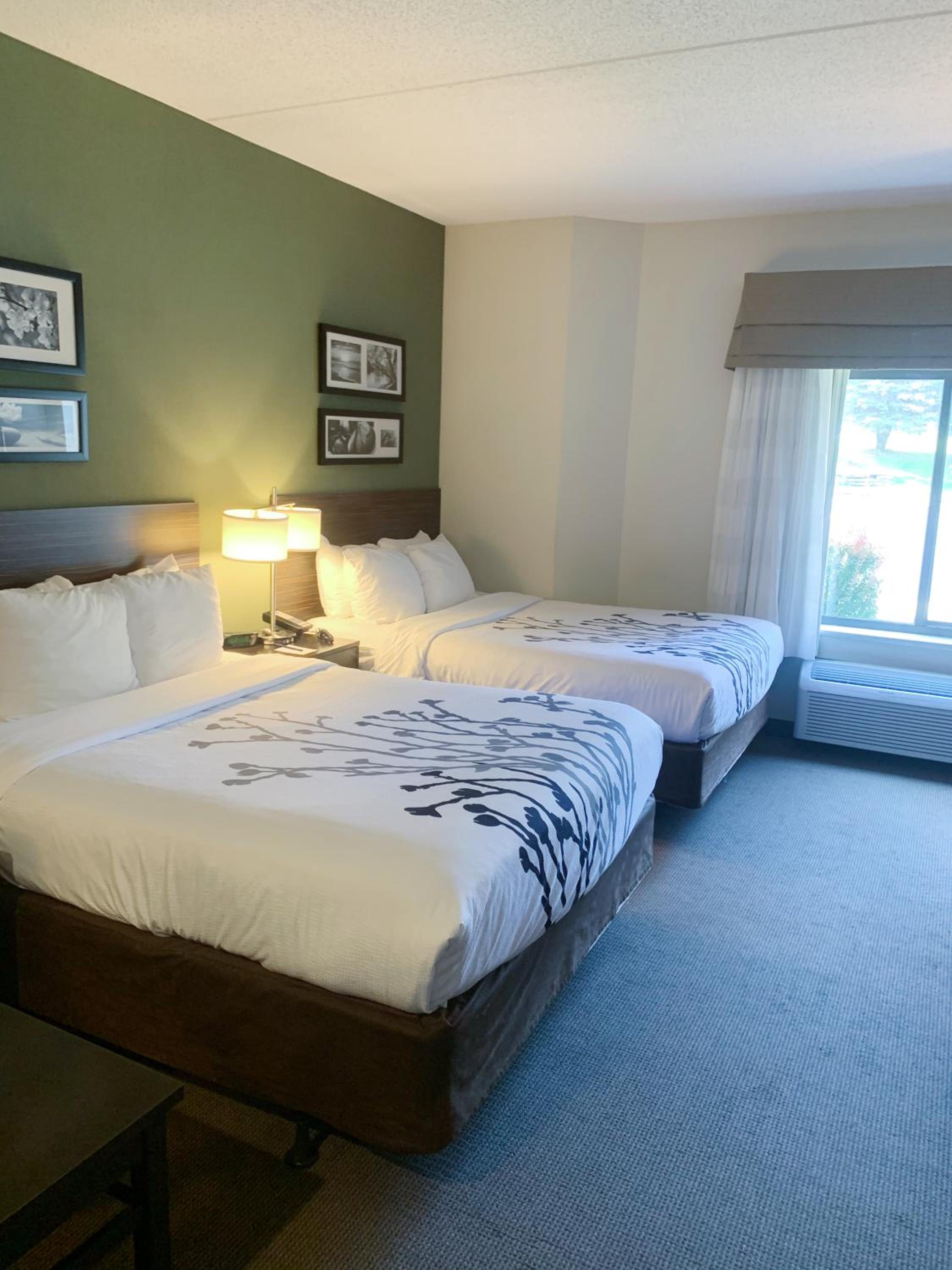Suite, Queen Bed, Jetted Tub