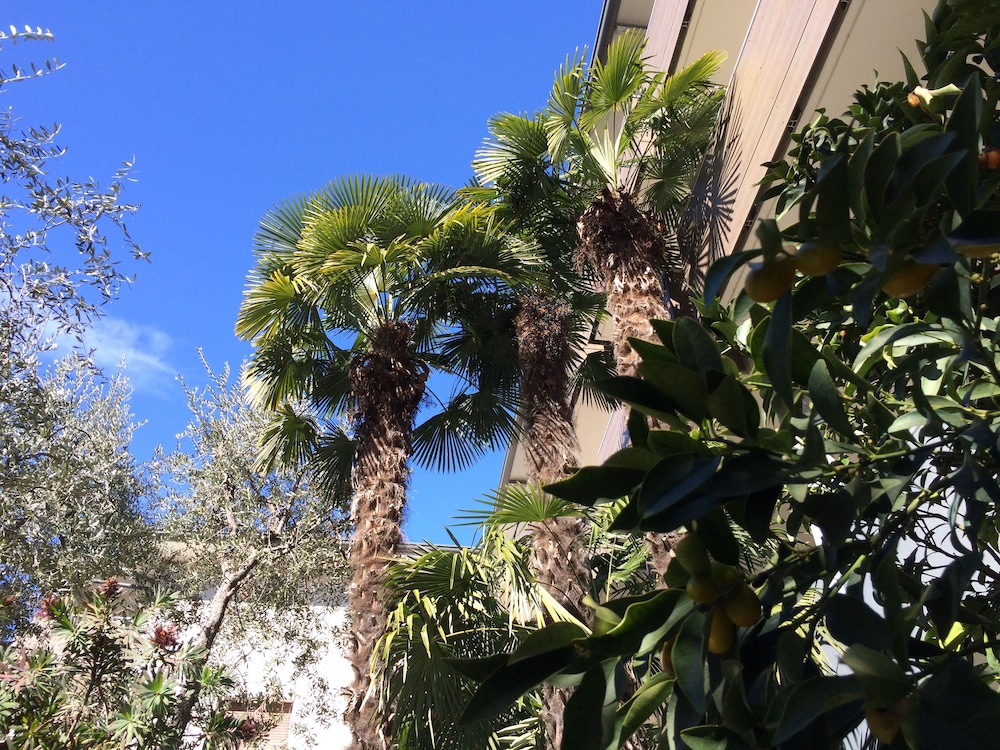 Hotel Villa Franca 38/50