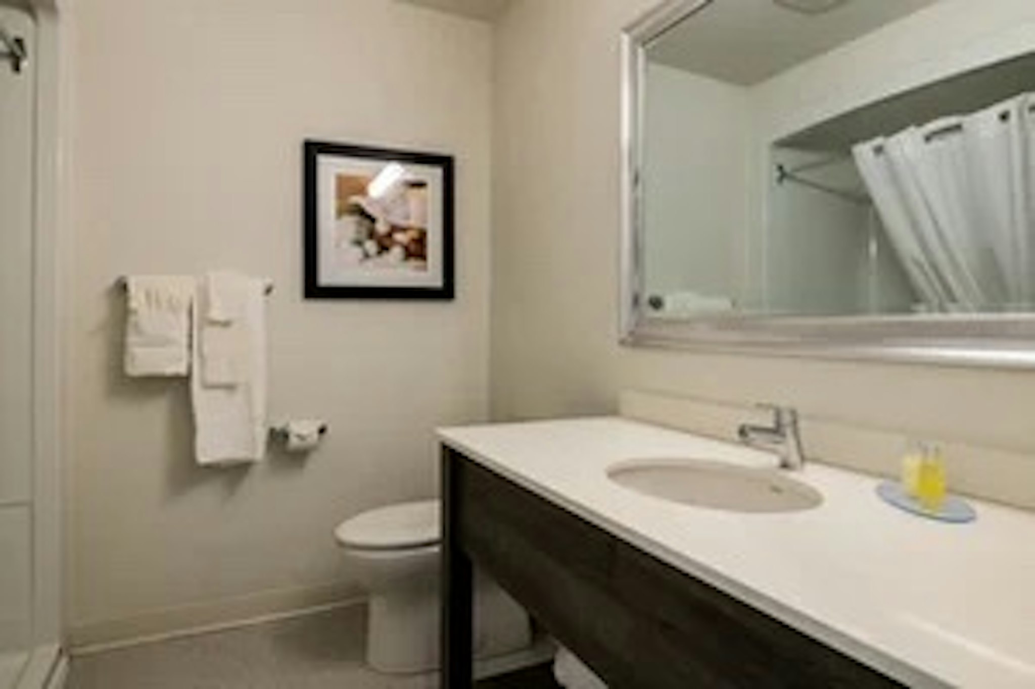 Amsterdam Inn & Suites, an Ascend Collection Hotel 50/52