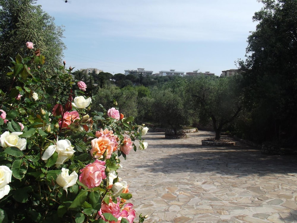 Poggio Degli Ulivi 48/55