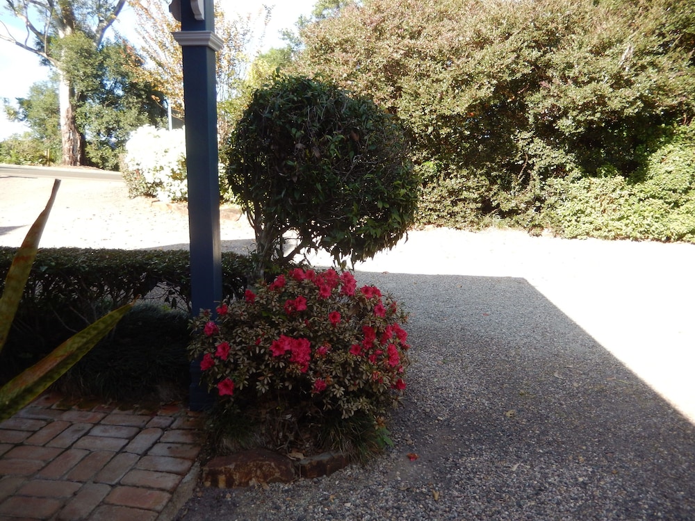 Montville Provencal 26/39