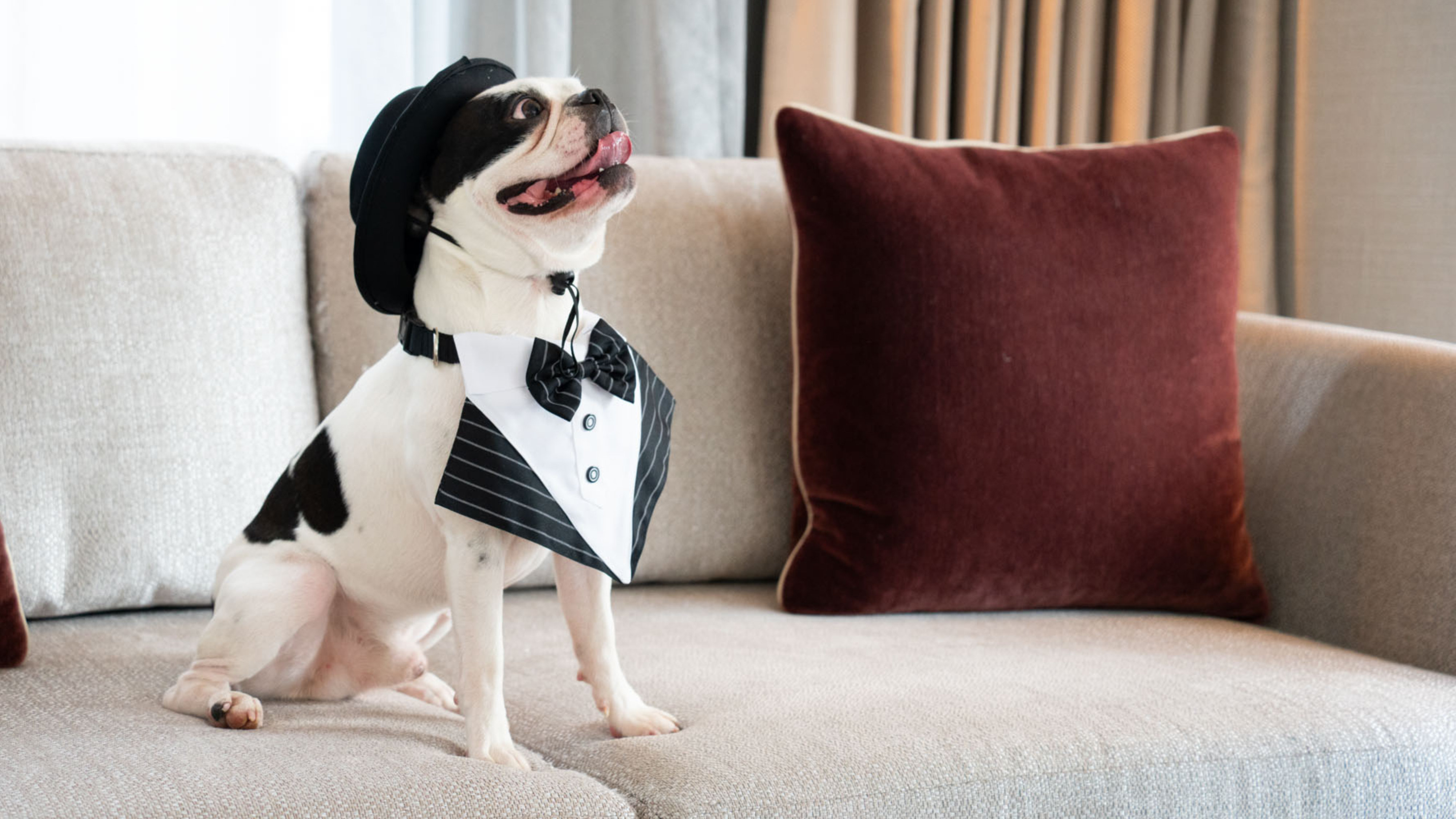 INTERCONTINENTAL BOSTON 10/80
