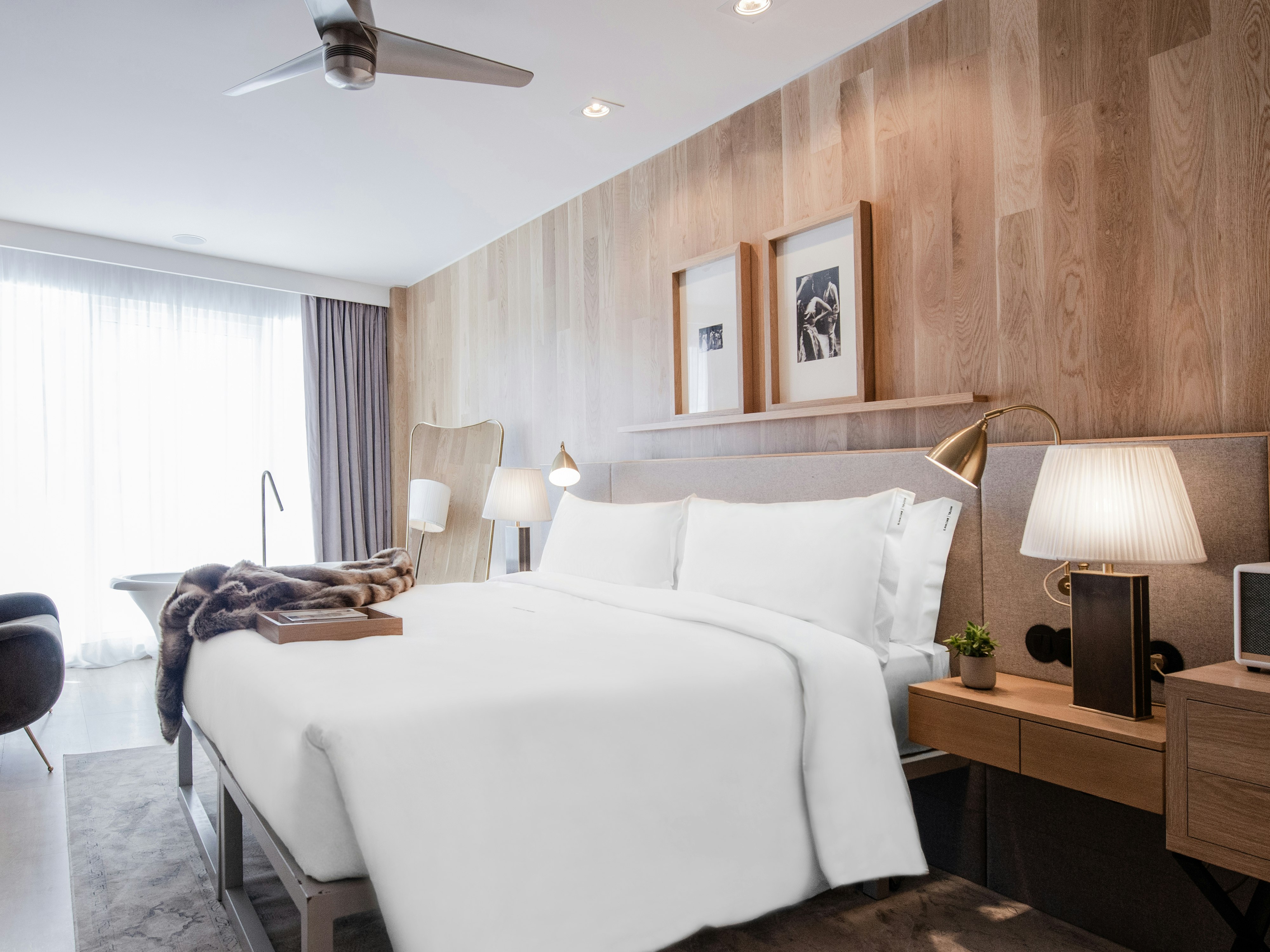 Contemporary, Junior Suite, Queen Bed