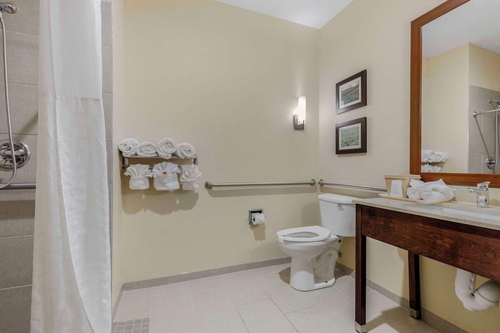 جناح بسرير كينج مع أريكة لذوي الإعاقة، Comfort Suites Benbrook - Fort Worth Southwest 2/3