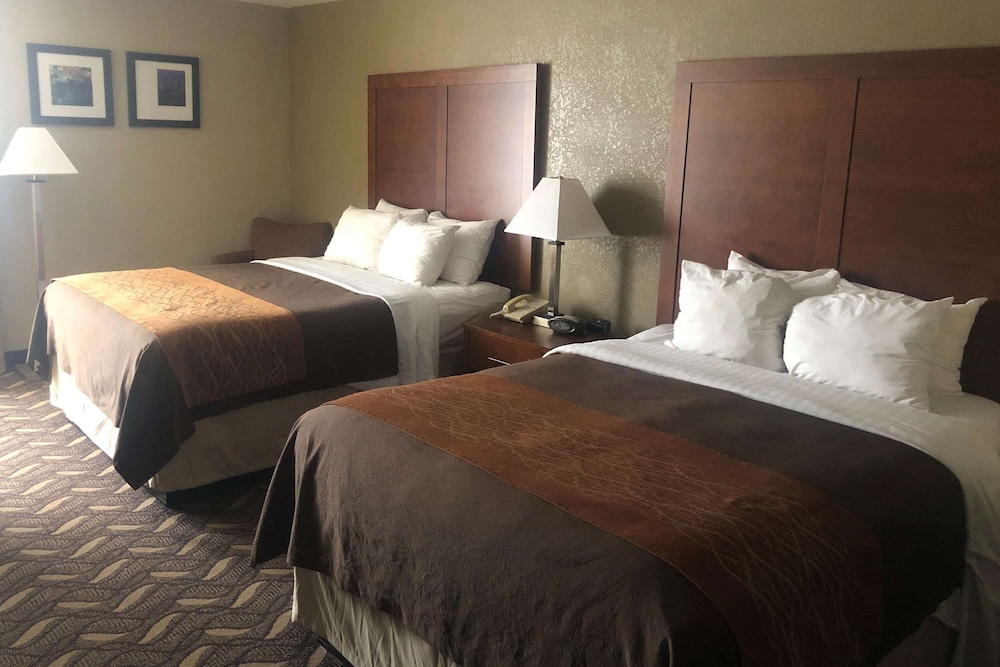 AmericInn by Wyndham Memphis East 7/33