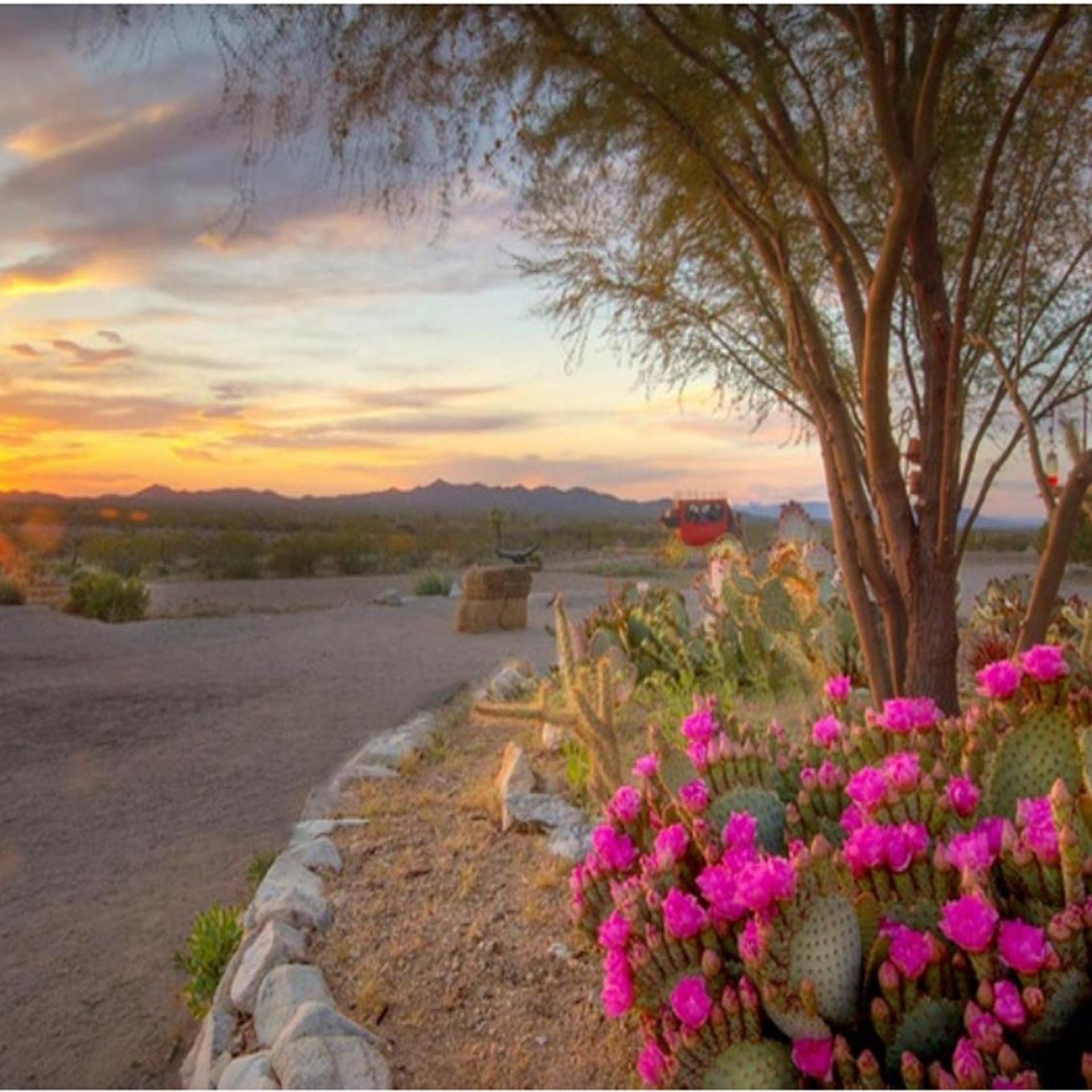 Stagecoach Trails Guest Ranch 46/50