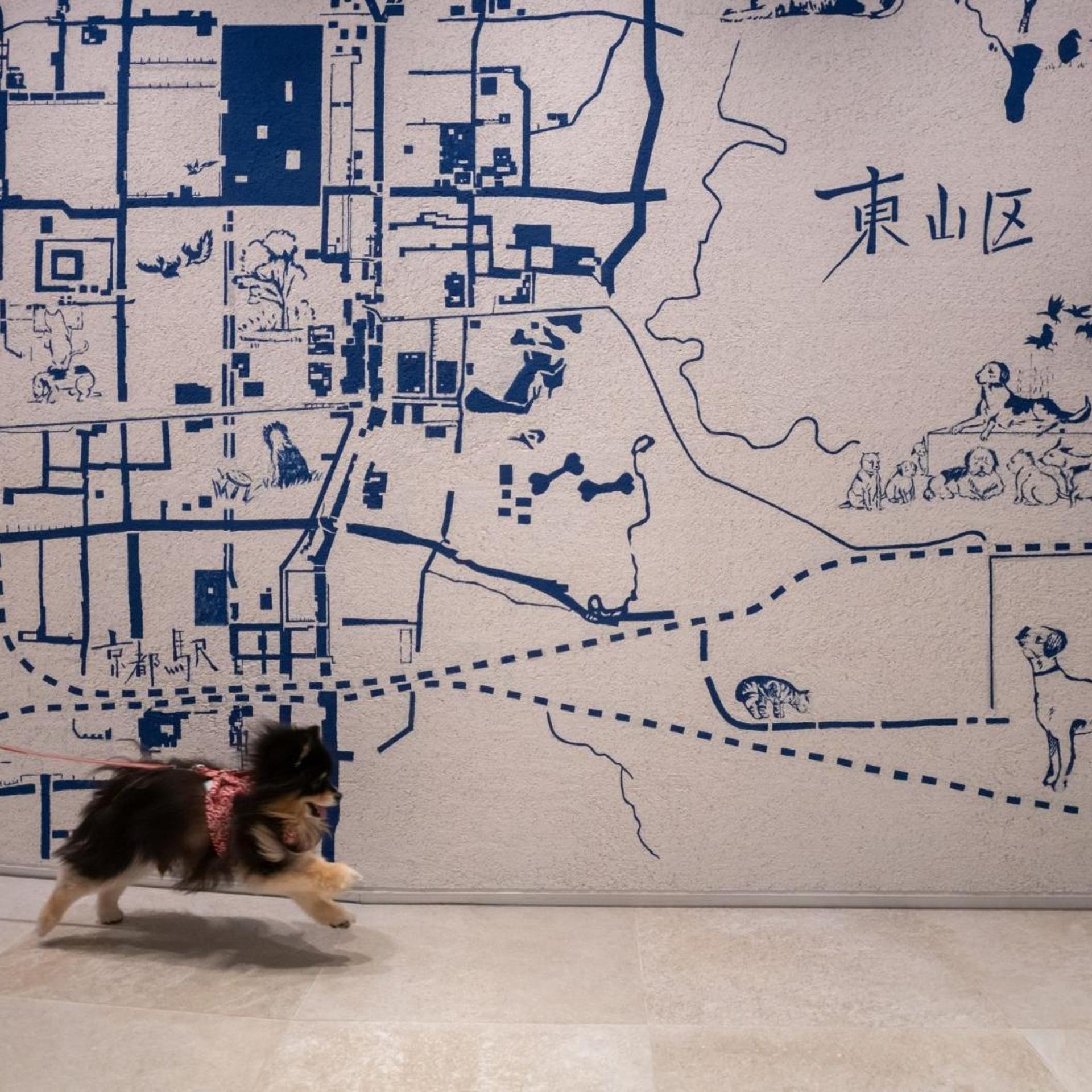 hotel anddoggy Kyoto Nijo 45/50