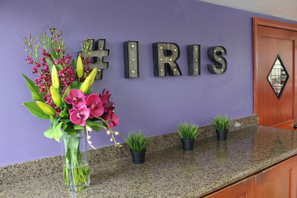 Hotel Iris San Diego 37/45