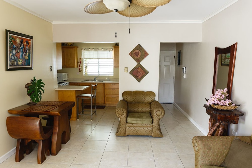 New Kingston Guest Apartment Vii 29/32