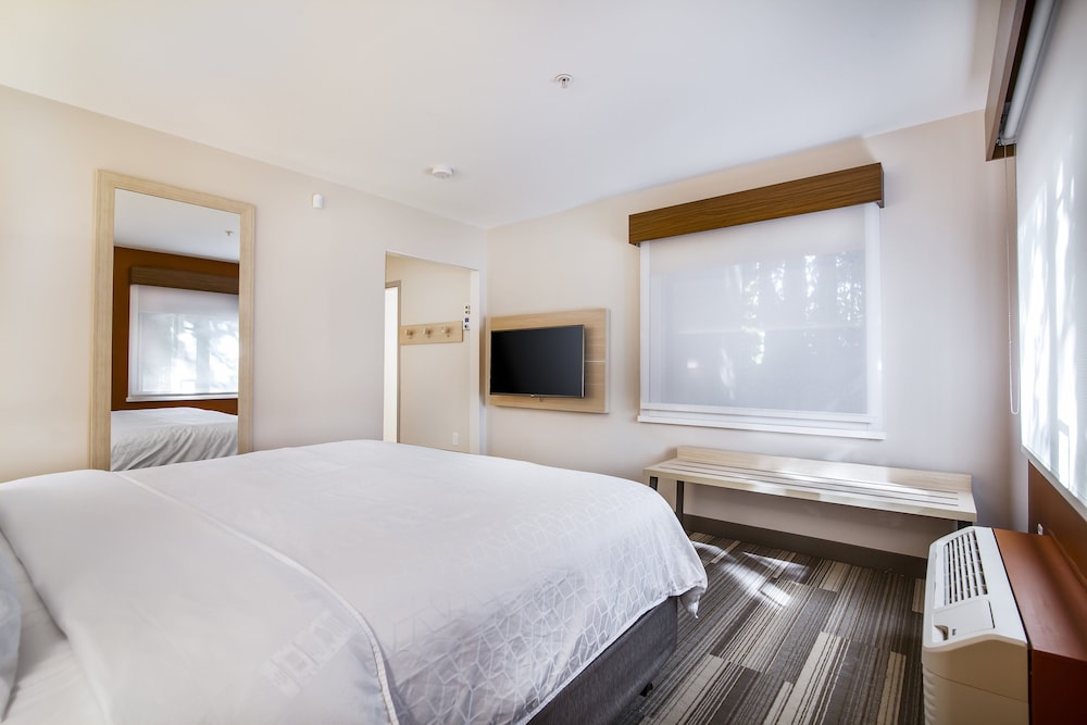 Holiday Inn Express Suites Langley 21/73