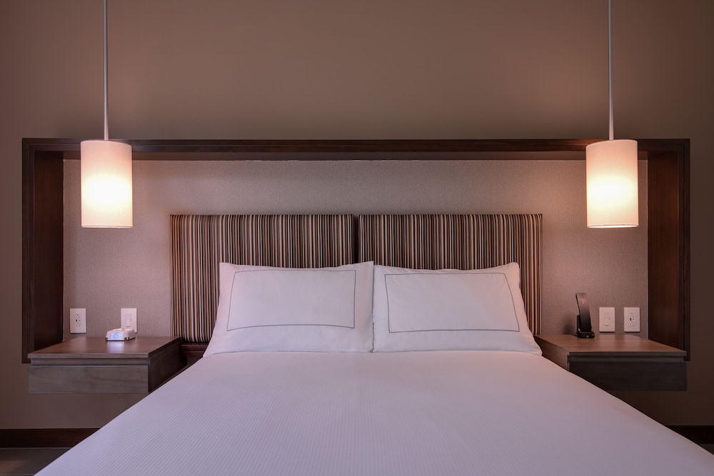 Botanika Osa Peninsula, Curio Collection by Hilton 17/73