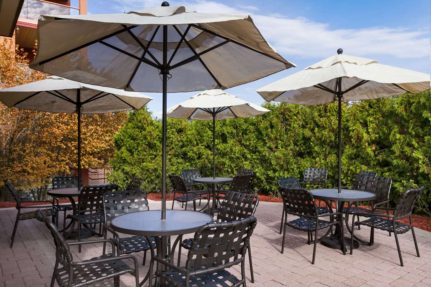 restaurant cafeteria