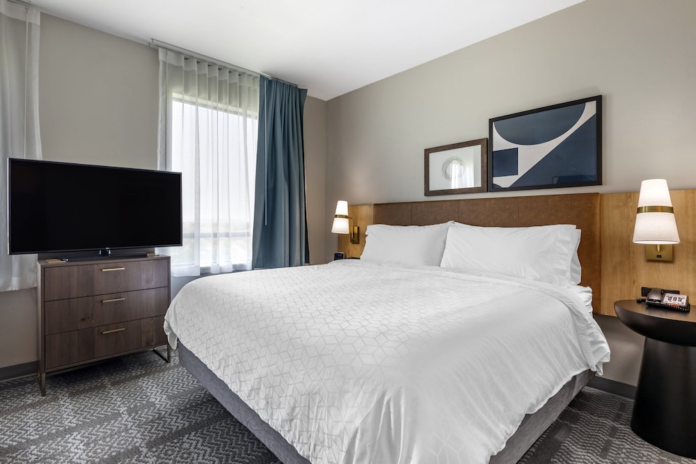 Studio, Suite, King Bed, Sofa, Kitchen