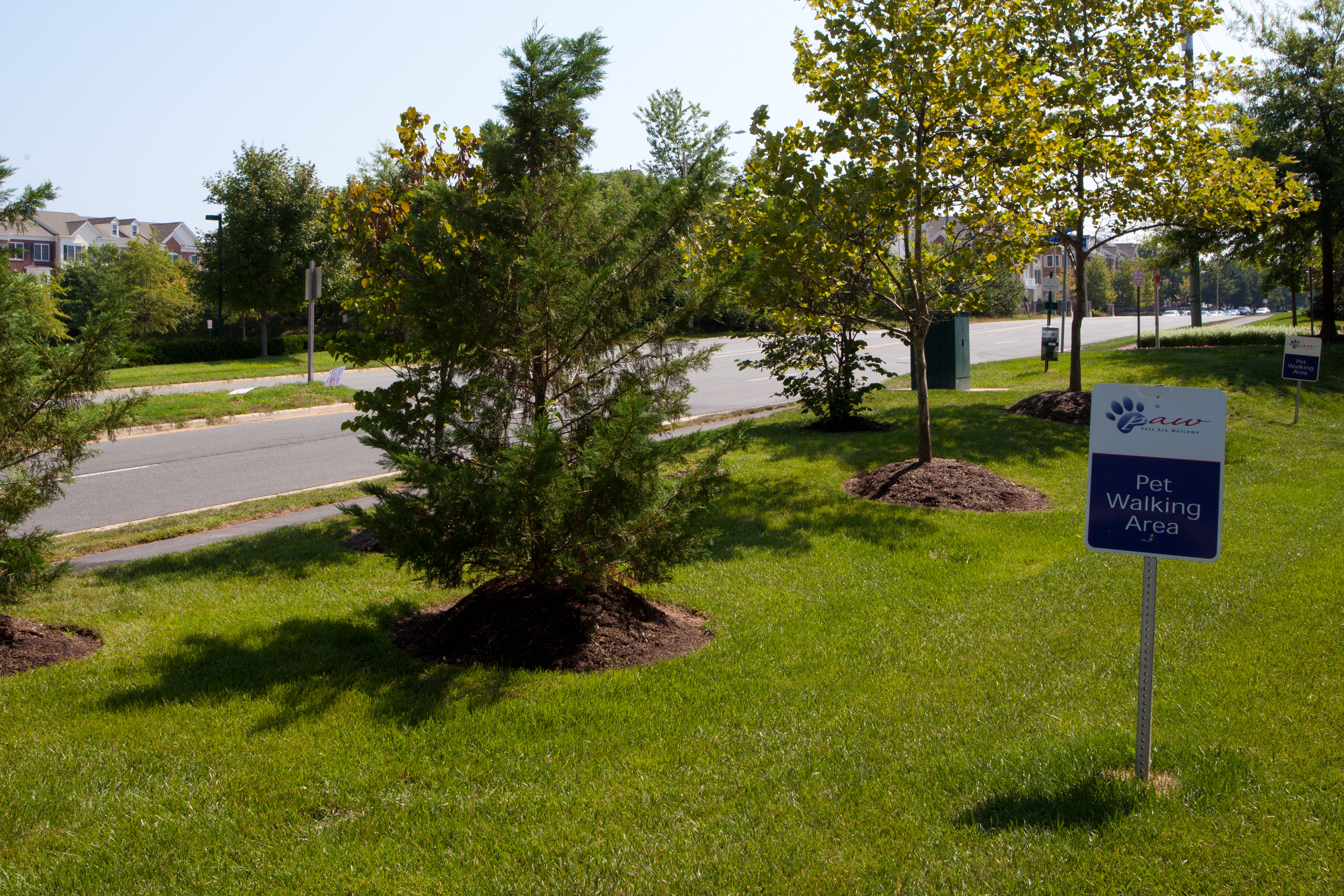 Candlewood Suites Washington Dulles 48/50