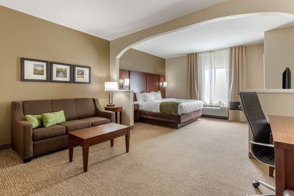 Comfort Suites Johnson City Near University 27/36