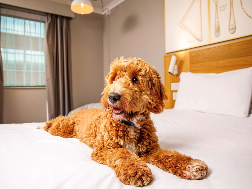 Ibis Styles Birmingham Centre Hotel 43/65