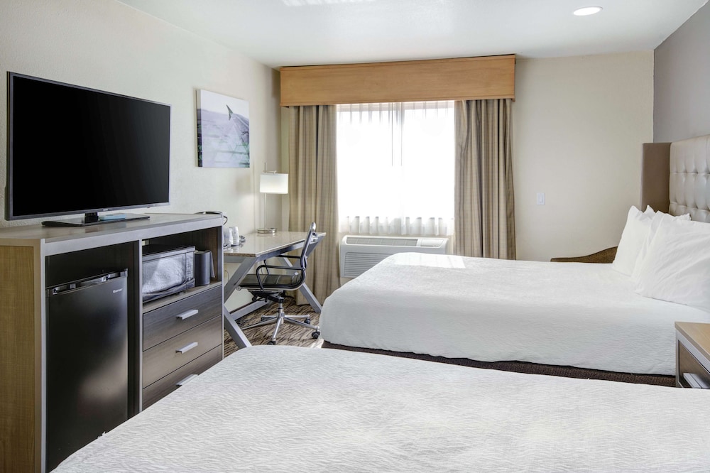 Standard, 2 Queen Beds, Accessible