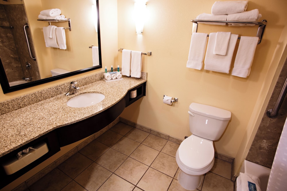 غرفة قياسية بسرير كينج، Holiday Inn Express & Suites Harrisburg W - Mechanicsburg 6/10