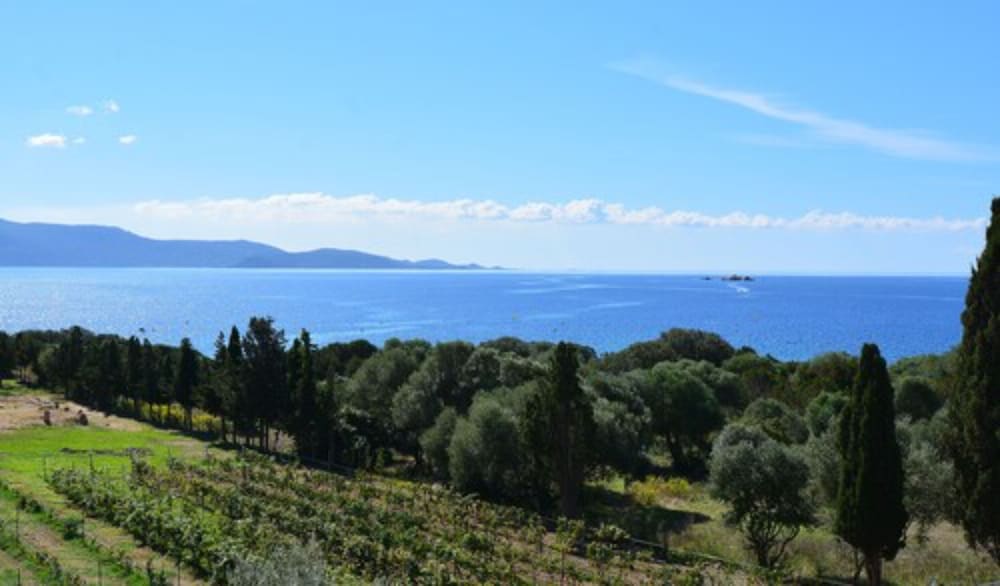 Les Terrasses Du Grand Large 30/44