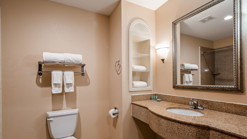 Best Western South Plains Inn & Suites 13/31