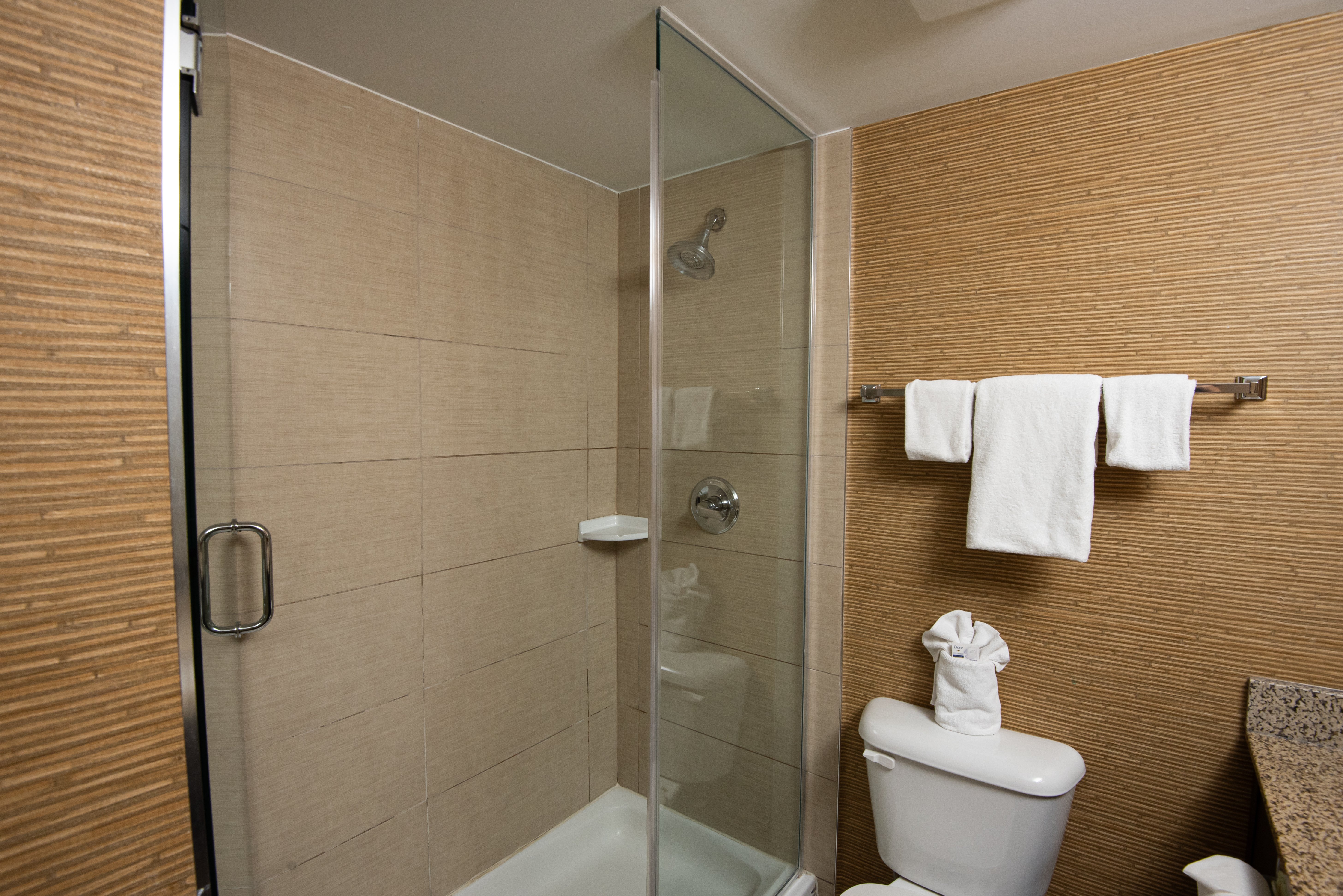 Holiday Inn Express Suites Chatham South 75/75