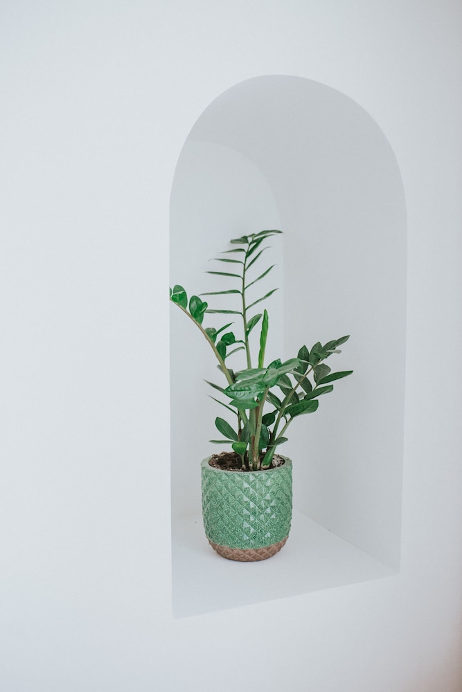 Dona Graca Lisbon Apartments photo3