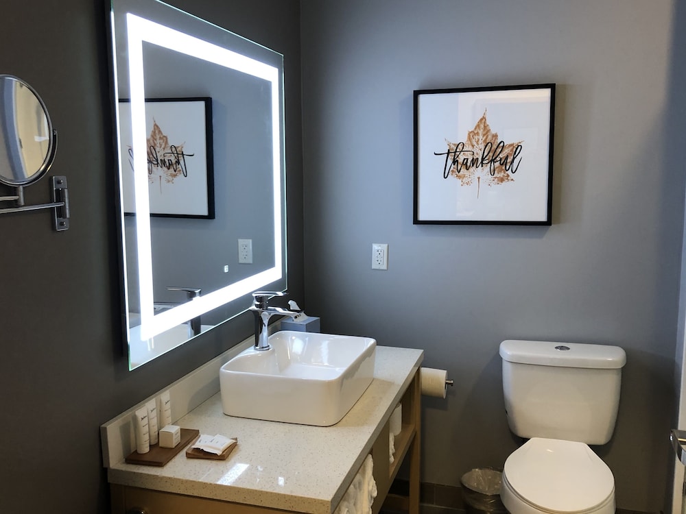 Radisson Hotel Atlanta Airport 18/42