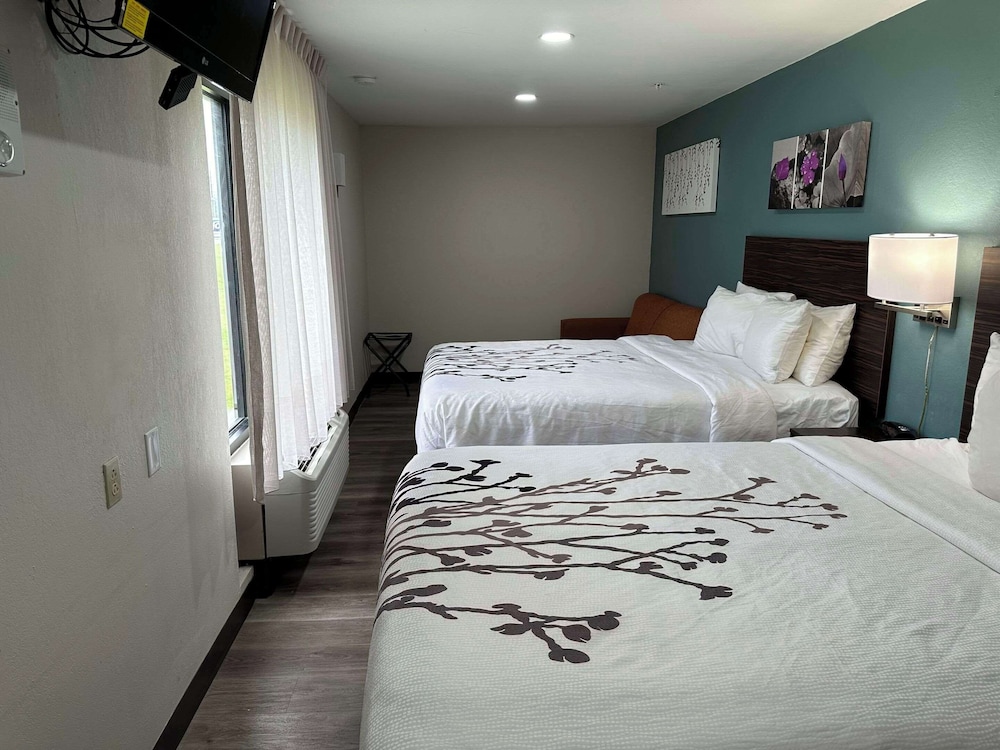 Efficiency, Suite, 1 King and 2 Queen Beds, Sofa, Accessible