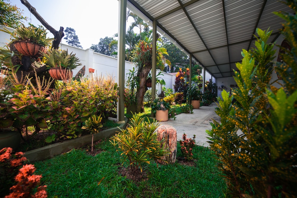 Hotel Greenview Medellin 40/42