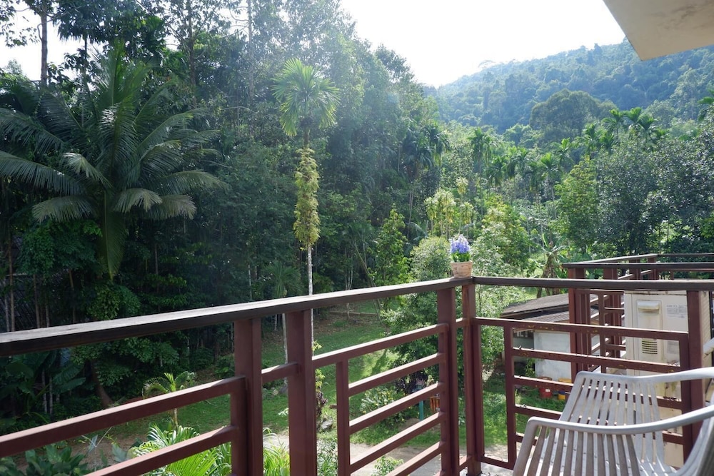 Khao Sok Nature Place 35/36